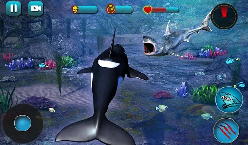 Killer Whale Beach Attack 3D screenshot 9