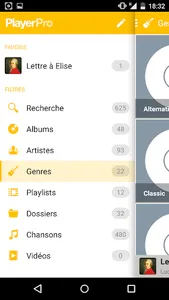 PlayerPro Skin Flatty Yellow screenshot 3
