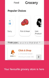 The Delivery Guys screenshot 7