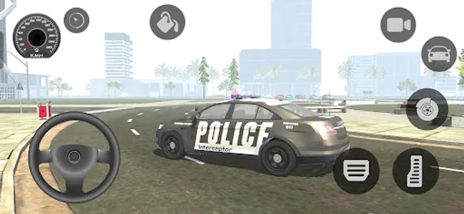 Indian Cars Driving Simulator screenshot 6