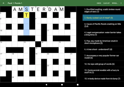 Cryptic Crossword screenshot 11