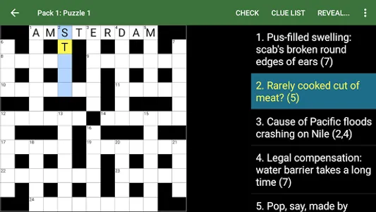 Cryptic Crossword screenshot 5