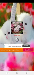 Cute Cate Live Wallpaper screenshot 15