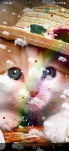 Cute Cate Live Wallpaper screenshot 9