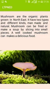 North East Dishes screenshot 1