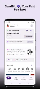SendBit screenshot 0