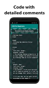 CSS For Beginners screenshot 2