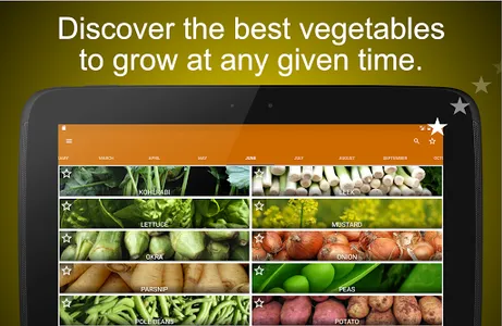 Planting calendar - vegetables screenshot 5