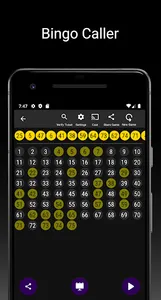 Snap Bingo Caller & Verifier screenshot 6