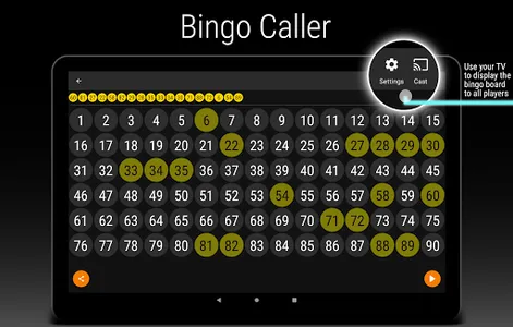 Snap Bingo Caller & Verifier screenshot 8