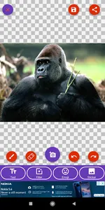 Bonobo, Chimpanzee, Gorilla, M screenshot 3