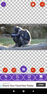 Bonobo, Chimpanzee, Gorilla, M screenshot 5
