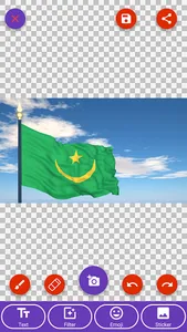 Mauritania Flag Wallpaper: Fla screenshot 7
