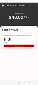 Apparcatex screenshot 4