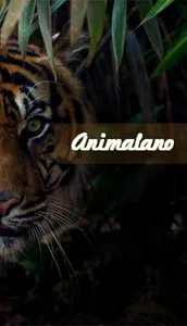 Animalano screenshot 0