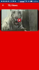 TejNews News Portal screenshot 13
