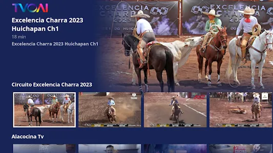 TVOAI screenshot 11