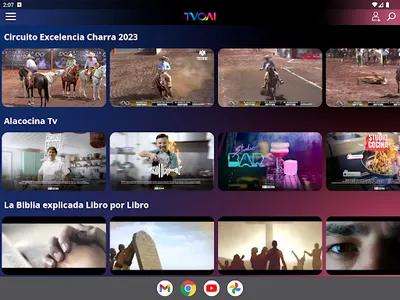 TVOAI screenshot 6