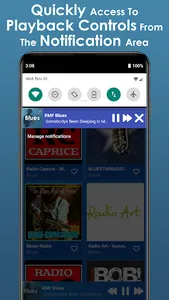 Blues Music App screenshot 12