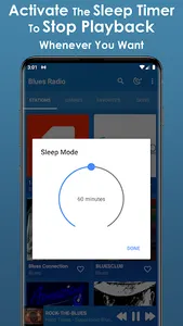 Blues Music App screenshot 17