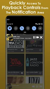 Jazz Music & Smooth Jazz App screenshot 19