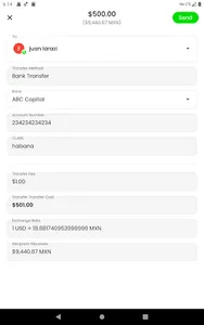 TransferMex screenshot 8