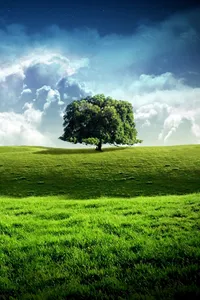 D32mdf: Test IAB V3 app screenshot 9