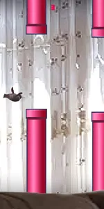 Serdar Bird screenshot 5