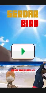 Serdar Bird screenshot 6