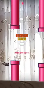 Serdar Bird screenshot 8