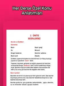 4. Sınıf Tüm Dersler Test Çöz screenshot 10