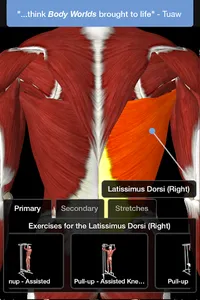 iMuscle 2 screenshot 1