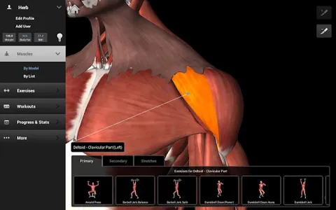 iMuscle 2 screenshot 11