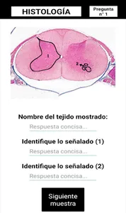 Test Histología screenshot 3