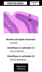 Test Histología screenshot 4