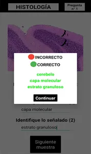 Test Histología screenshot 5