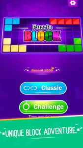 Block Puzzle - Offline Games screenshot 10