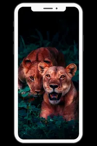 Lindos Fondos de Pantalla screenshot 6