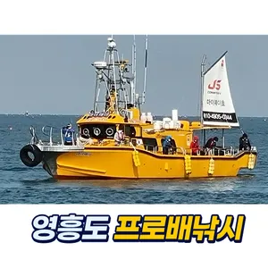 영흥도 프로배낚시 screenshot 0