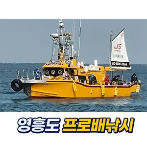 영흥도 프로배낚시 screenshot 4