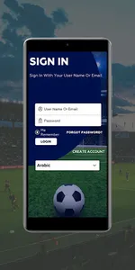 The Football Adventures screenshot 2