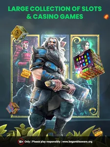 The Online Casino screenshot 8