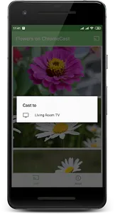 Flowers 🌻 on Chromecast screenshot 2