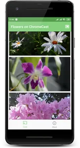 Flowers 🌻 on Chromecast screenshot 4