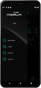 The Realm Coin (COTR) screenshot 4