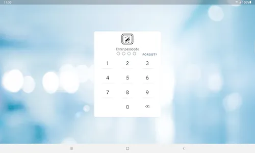 TSBG Bank screenshot 4