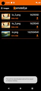 RealEye screenshot 2