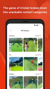 3Cricket screenshot 2