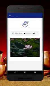 Tibetan bowls music zen relax screenshot 7