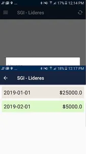 SGI-Lideres screenshot 0